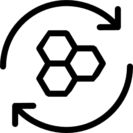 ANTI AGEING EFFEKT Icon